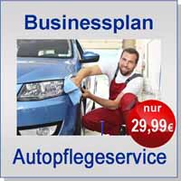 Businessplan Autopflegeservice