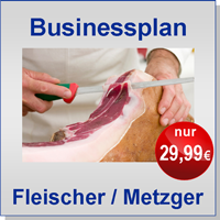 Businessplan Fleischer